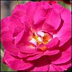 DSCN0047.JPG
